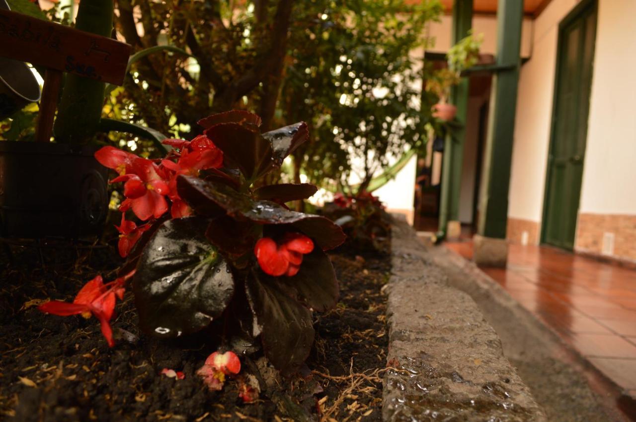 Hostal Sue Candelaria Bogotá Dış mekan fotoğraf